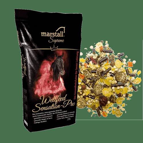 Sensation-Pro - innowacyjna pasza dla koni sportowych - Marstall