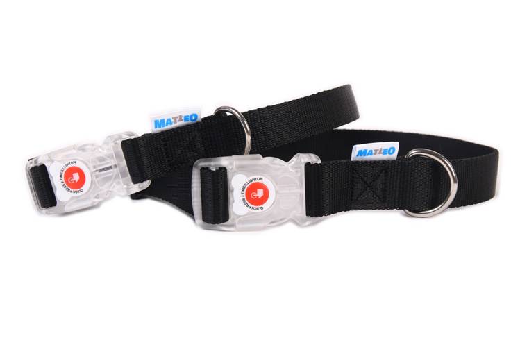 Obroża Klamra LED – Czarna 0550 25MM 38-65CM