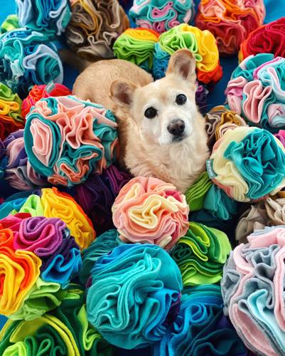 Kula węchowa WŁASNE KOLORY