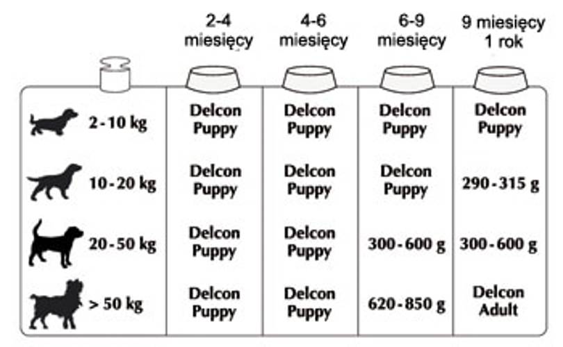 Delcon junior karma dla psa 12kg