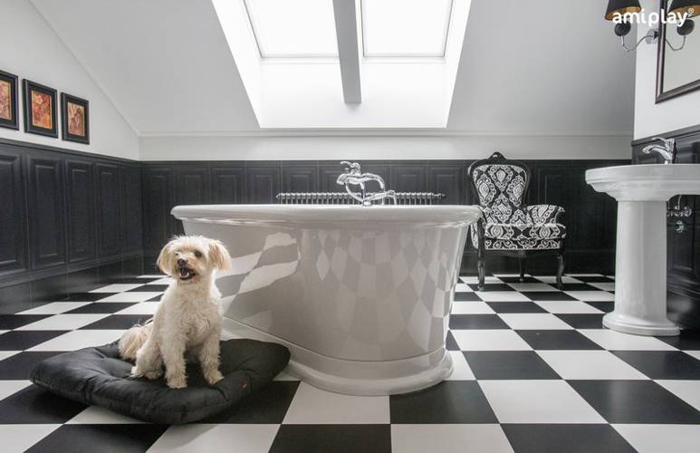 amiplay Poduszka prostokątna Basic M