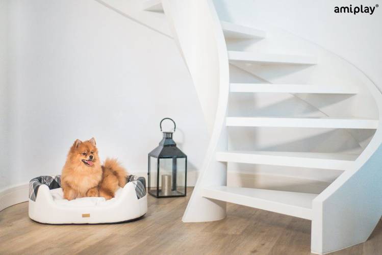 amiplay Legowisko Elipsa 2 in 1 Kent S