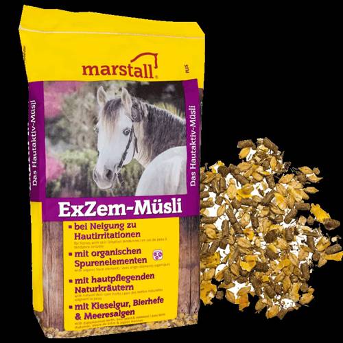 Pasza ExZem-Musli Marstall