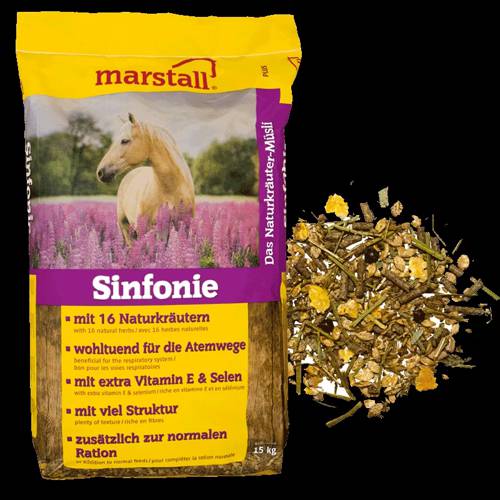 Pasza Sinfonie Marstall