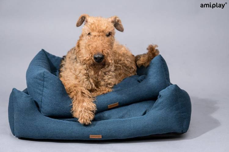 amiplay Sofa Montana S