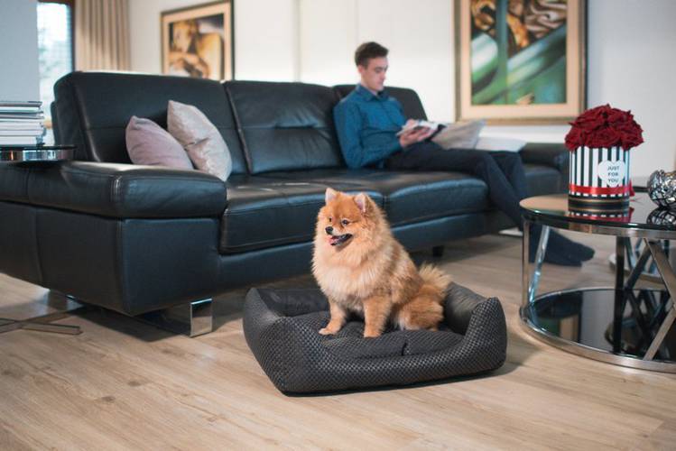 amiplay Sofa ZipClean 4 in 1 Morgan XS