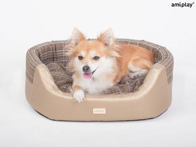 amiplay Legowisko Elipsa 2 in 1 Venus S