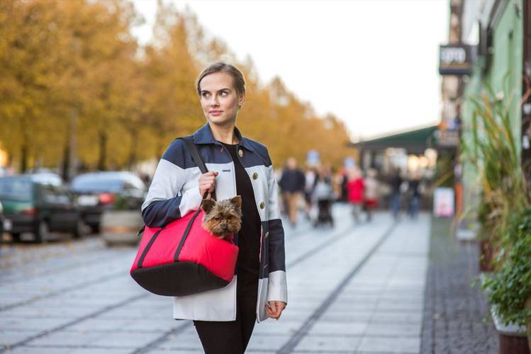 amiplay Torba transportowa Basic L