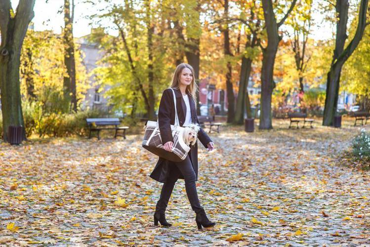 amiplay Torba transportowa Kent S