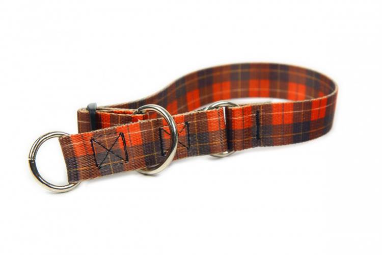 Obroża Półzaciskowa - Szkocka Krata 0646 30MM 50-80CM