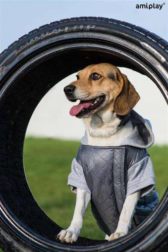 Kurtka z kapturem Boston 25 cm Chihuahua szara