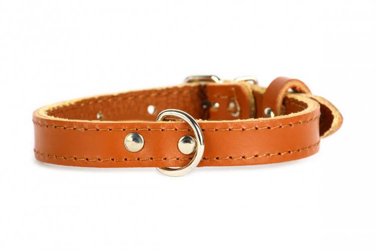 Obroża Skóra Gładka – Brązowa 0102 40MM 76CM 51-67CM