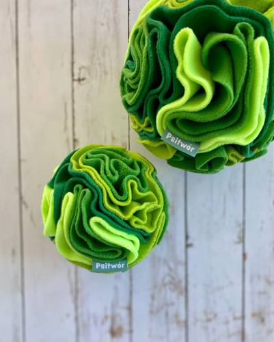 Kula węchowa à la SAŁATA