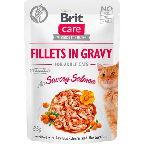 Brit Care Cat z łososiem 12x85g