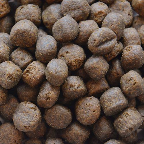 Karma sucha dla psa - Łosoś z batatami i warzywami  2kg