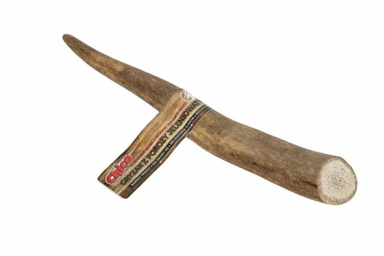 Chico Gryzak dla psa z poroża jelenia XL (hard) 16-20cm