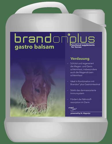Brandon+ Gastro Balsam – balsam na wrzody 2.5l Medvetico