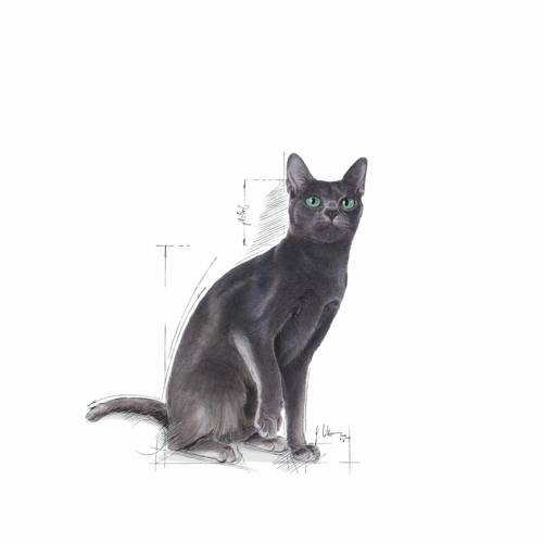 Royal Canin Sterilised 37 2kg