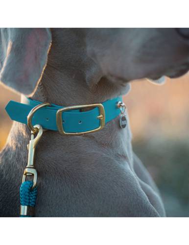 Obroża dla psa z Biothane M Lazur