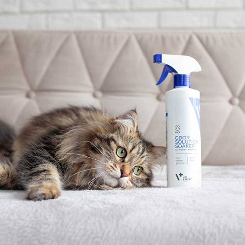 Vet Expert Cat Odor Eliminator neutralizator zapachów kotów 500ml