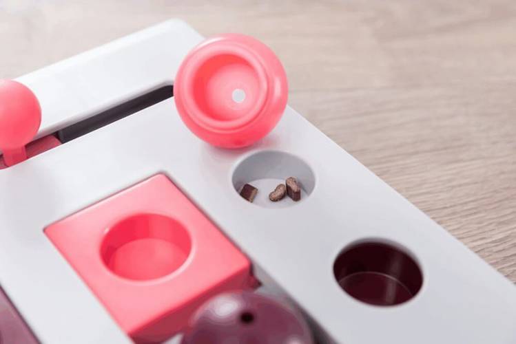 TRIXIE ZABAWKA CAT ACTIVITY BRAIN MOVER