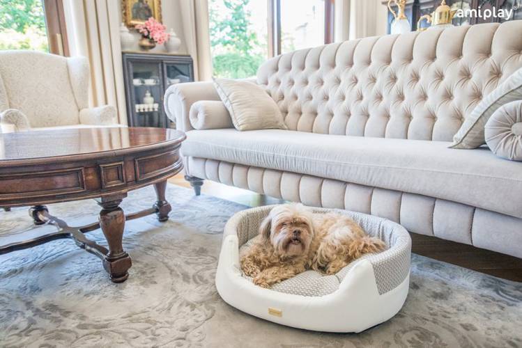 amiplay Legowisko Elipsa 2 in 1 Morgan S