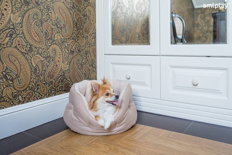 amiplay Colosseum Aspen S