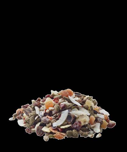 Versele-Laga Nature Snack mieszanka owocowa 85g