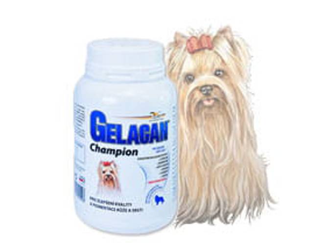 GELACAN® Champion dla ras kolorowych 500 g