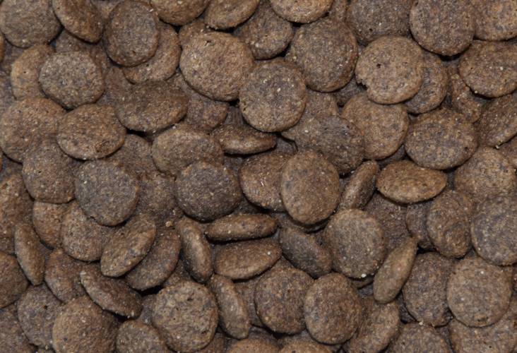 Karma sucha dla psa - Konina z batatami i granatem 2kg