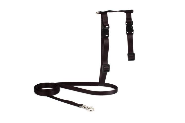 Zestaw dla kota - Czarny 1470 10MM