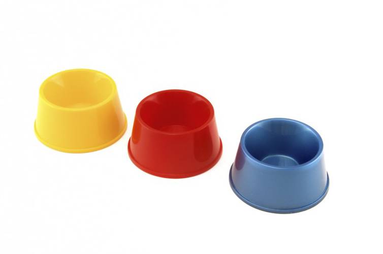 Miseczka dla małych gryzoni MIX kolorów 1szt.