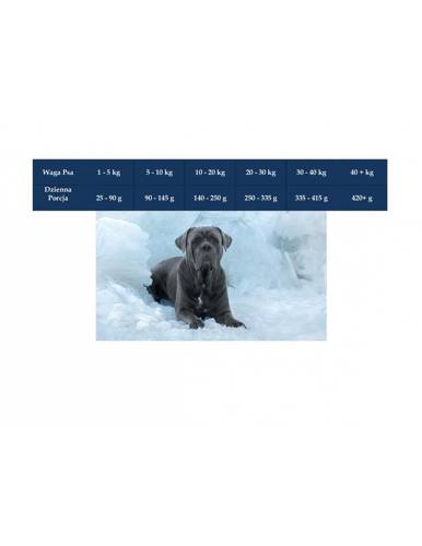 Natural Trail Angus 50% Wołowiny M 12 kg