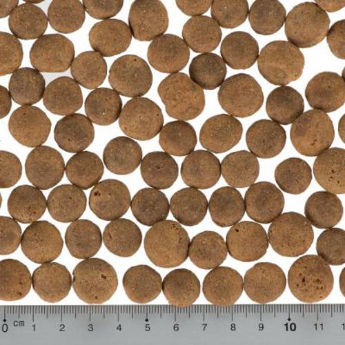 Wolf of Wilderness Adult "Scarlet Sunrise", łosoś i tuńczyk 5 x 1 kg