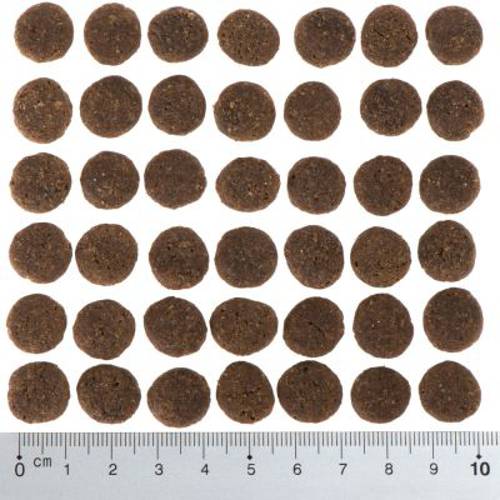 Purizon Single Meat Adult, konina z batatami, bez zbóż 4 x 1 kg