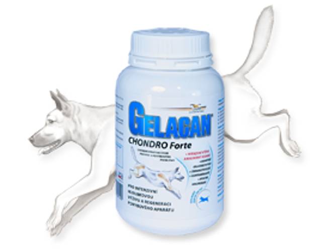 Gelacan® Chondro Forte 150 g