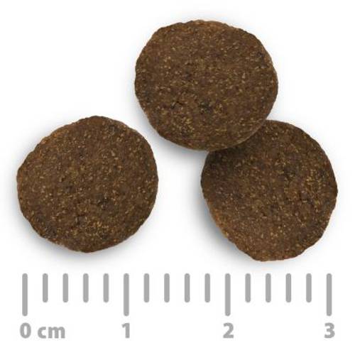 Purizon Adult, ryba, bez zbóż 12 kg