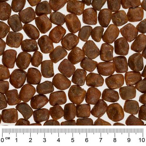 Rocco Mealtime Sensitive, kurczak i kaczka 12 kg