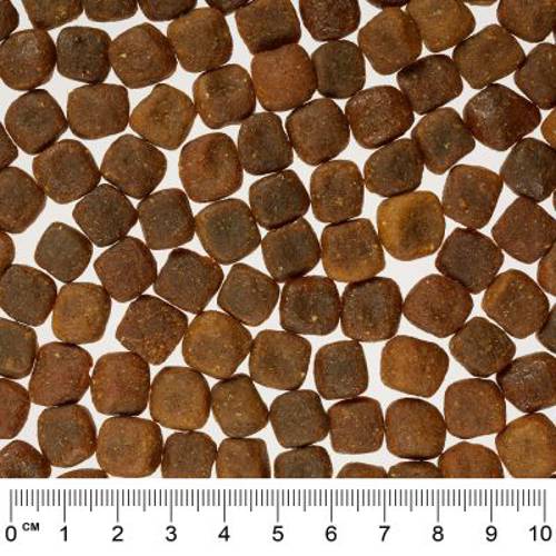 Rocco Mealtime, jagnięcina 12 kg