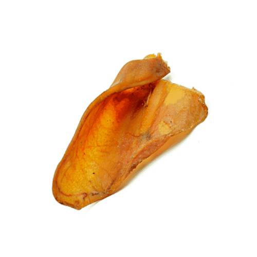 Hilton ucho średnie - przysmak dla psa