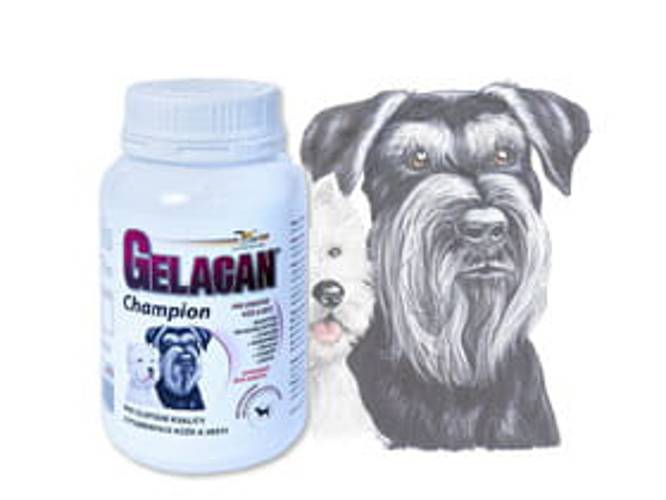 GELACAN® Champion dla ras czarno-białych 150 g