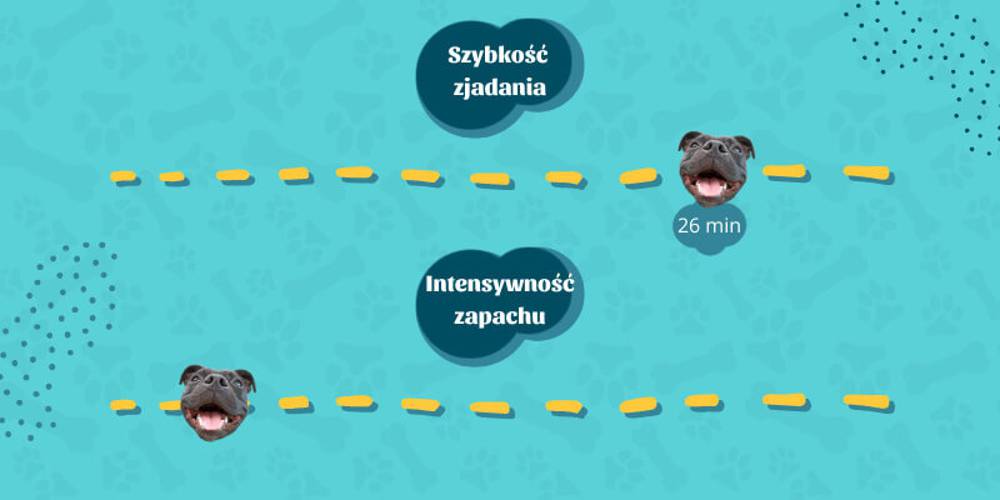 Suszona skóra wołowa 5 sztuk