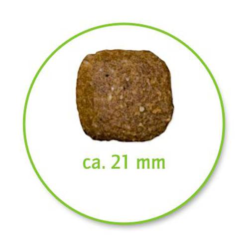 Belcando Junior Maxi 2 x 12,5 kg