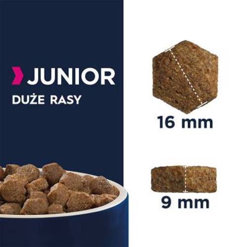 Eukanuba Grain Free Puppy Large Breed, łosoś 2 x 12 kg