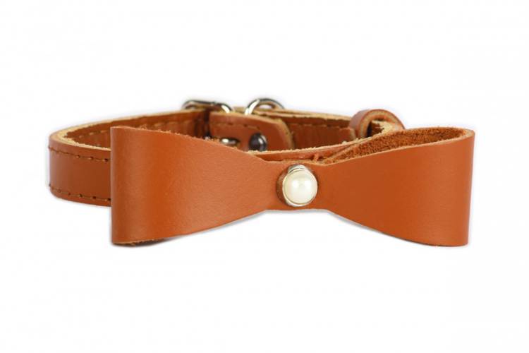 Obroża Skóra z kokardą – Brązowa 0412 14MM 34CM 23-31CM