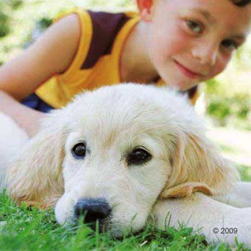 Happy Dog Supreme Mini Baby & Junior 4 kg