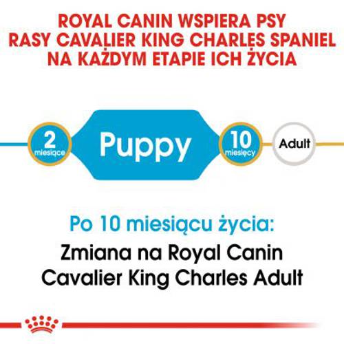 Royal Canin Breed Cavalier King Charles Puppy 1,5 kg