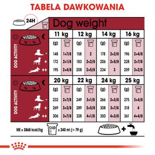 Royal Canin Medium Ageing 10+ 2 x 15 kg