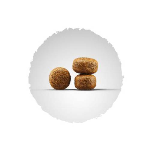 Josera Balance 2 x 15 kg