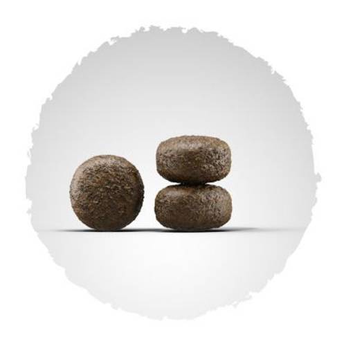 Josera Light & Vital 15 kg